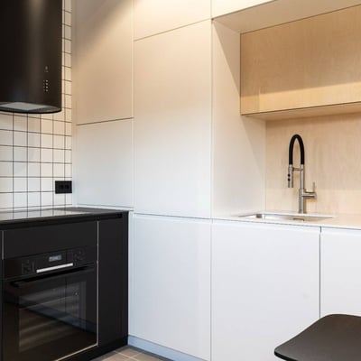 Аренда стильной 2-комнатной квартиры, 50 м², район Врачар, Белград, Сербия